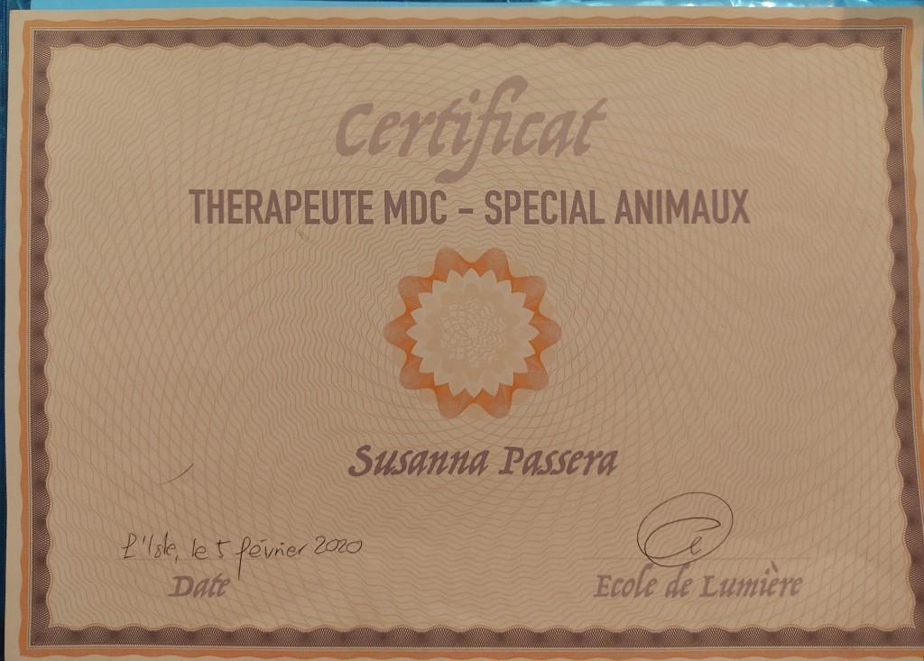 Certificato terapeuta MDC special animaux