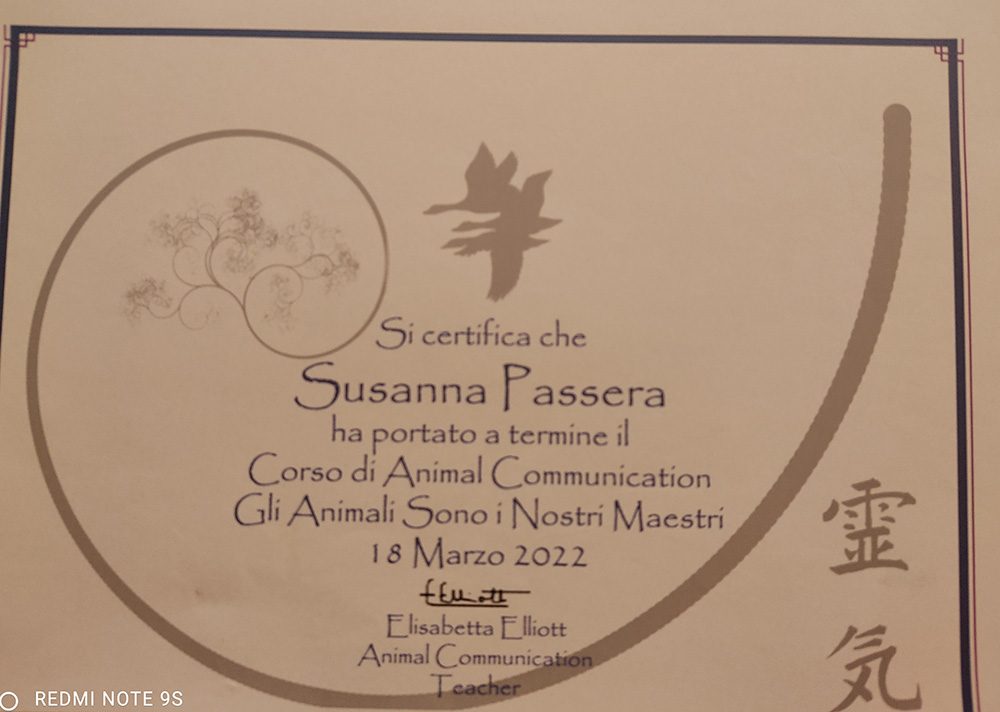 Certificato corso Animal Communication