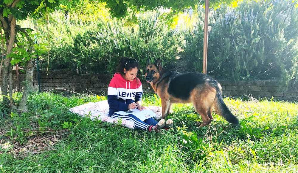 Esercizio di comunicazione animale all'aperto con cane