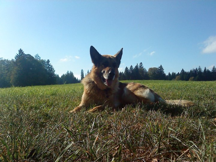 Sly 1999-2012