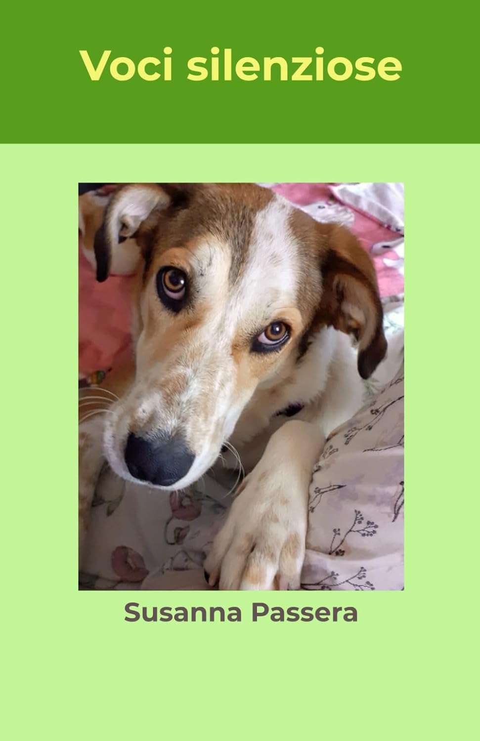 Copertina del libro Voci silenziose di Susanna Passera